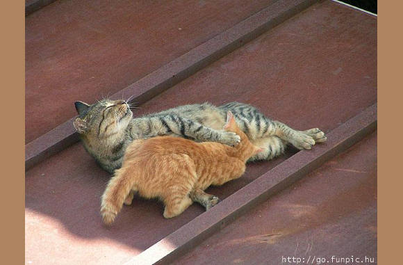 O ja, ga door......................