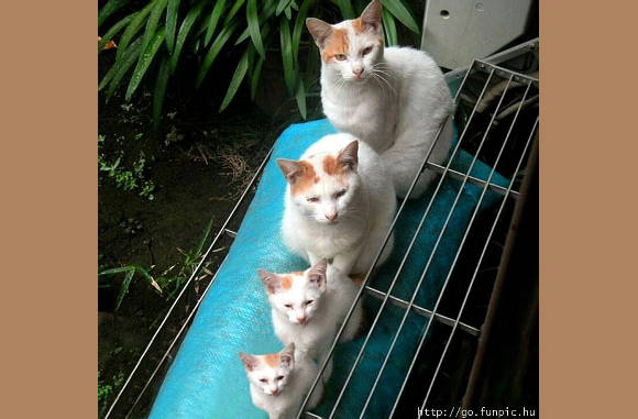4 generaties...............