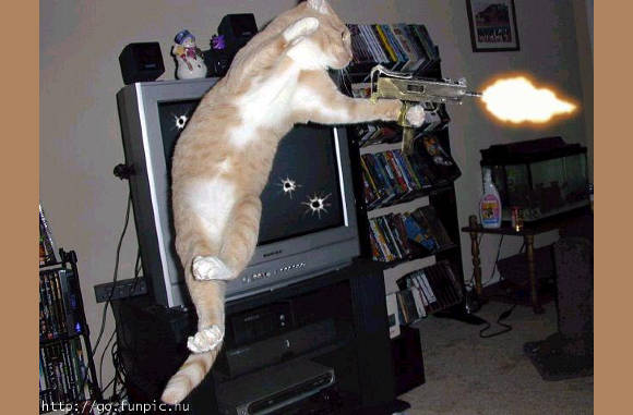 007 in aktie...............
