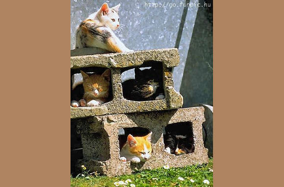 1 gat te weinig.........................