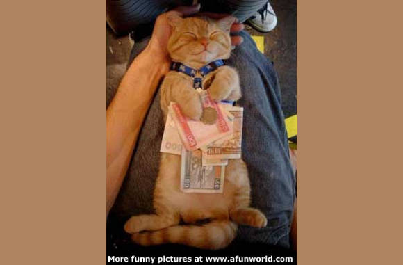 Das mijn geld............