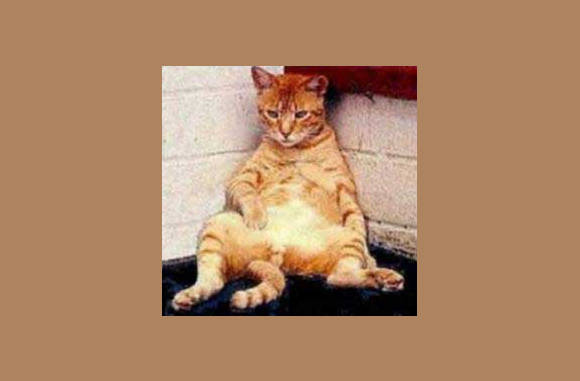 En nu ik ff in de picture...............