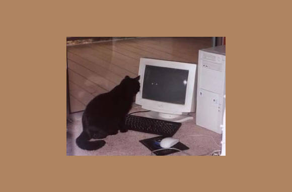 Ja kom maar met die windows