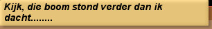 Kijk, die boom stond verder dan ik dacht........