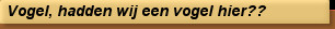 Vogel, hadden wij een vogel hier??
