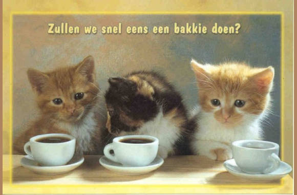 FF lekker bakkie doen