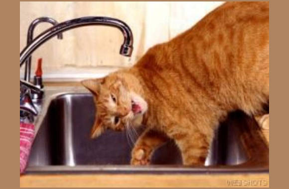 Lekker, wat water