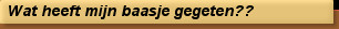 Wat heeft mijn baasje gegeten??