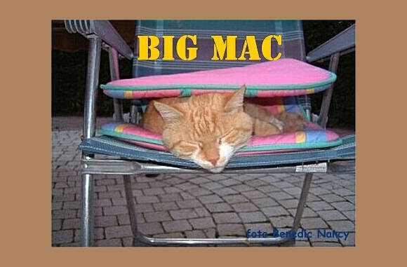 Zo ff langs de Mac geweest.....