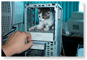 Dit is mijn pc!!