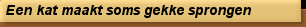 Een kat maakt soms gekke sprongen