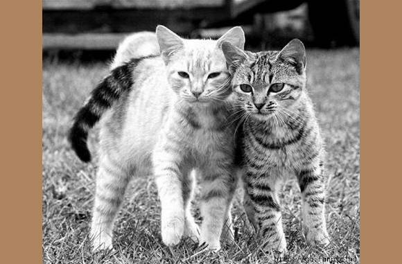 Echte liefde..................