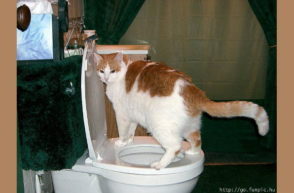 Even een plas doen.................