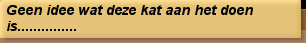Geen idee wat deze kat aan het doen is...............