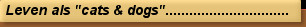 Leven als "cats & dogs"...............................