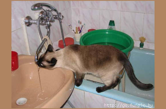 Slokje water....................