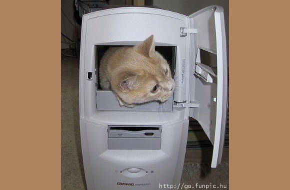 Ja, het is de juiste pc kast...............