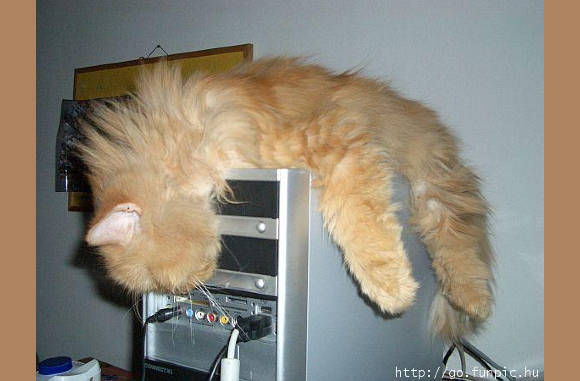 Mazzel dat die kast zo sterk is.............