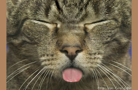 Wat een smoellie.................