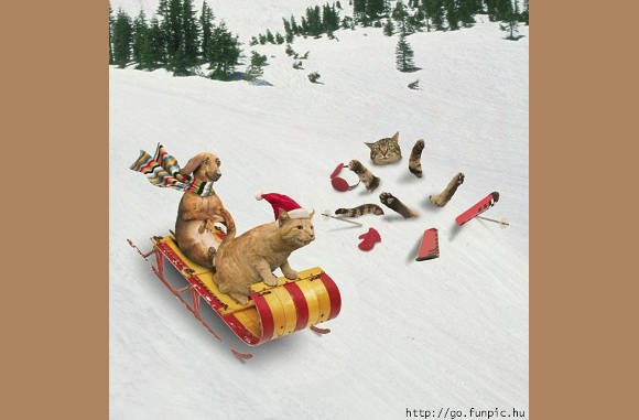 wintersport, plezier voor het hele gezin...........