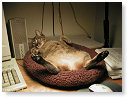 Me mand begint te klein te worden.............