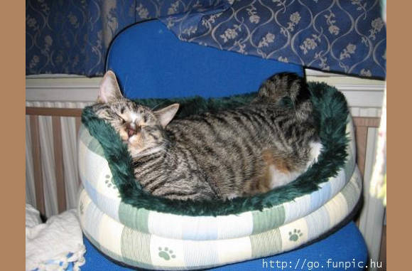 Ook weer een geval van een te kleine mand...........