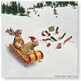 wintersport, plezier voor het hele gezin...........