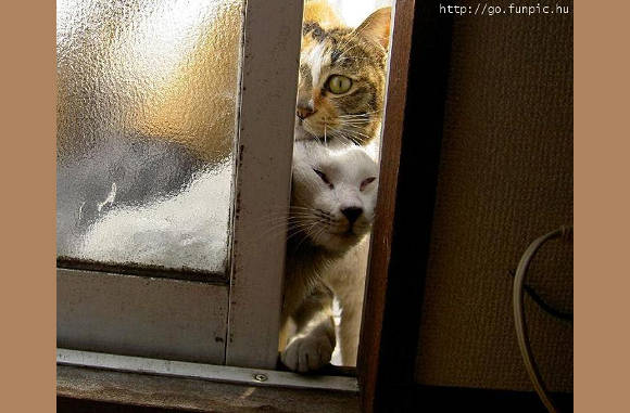 Doe die deur nou verder open.............