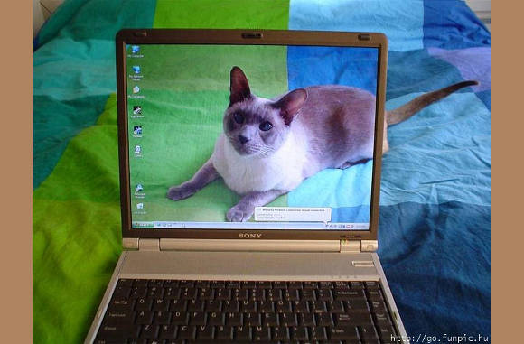 Knap gemaakt....................