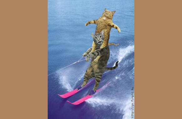 Op Kreta doen de waterskies het ook goed dit jaar...........