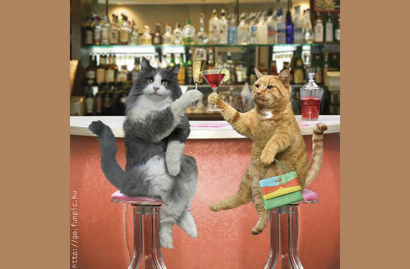 Proost...............