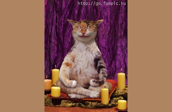 Meditatie, erg rustgevend...............
