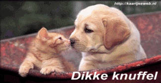 Ik vind jou lief!!