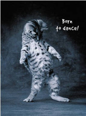 Do the non-stop dance...........