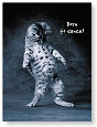 Do the non-stop dance...........