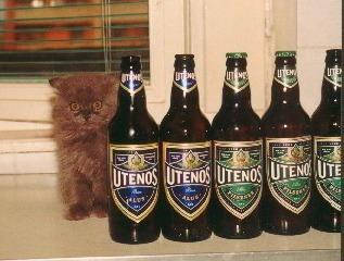FF tellen..... 1, 2, 3, heleboel!!
