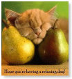 Heerlijk die peren!!!