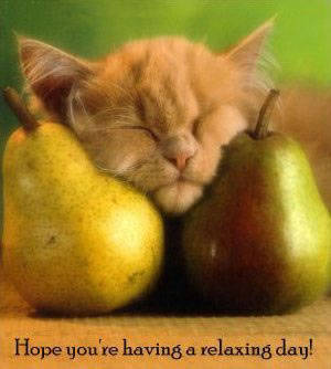Heerlijk die peren!!!
