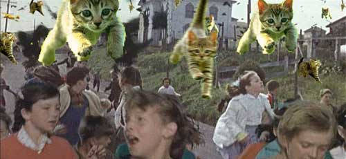 It's an invasion of the giant cats!!!!!