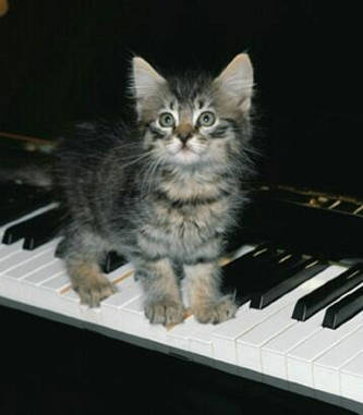 Ik zit op pianoles............