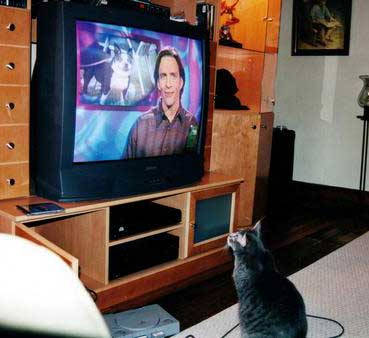 Mijn favo show!!