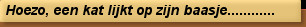 Hoezo, een kat lijkt op zijn baasje............