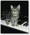 Ik zit op pianoles............
