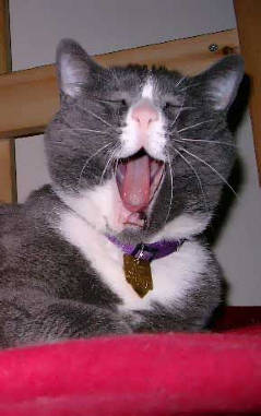 Gaaaaaaaaaaaaaaaaaaaap!!
