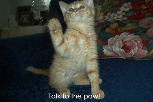 Hai...................