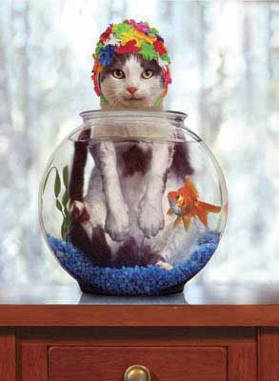 Waterballet...................