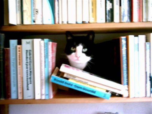 Ik ben een lectuurbarbaar.................