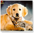 Liefde is..............................