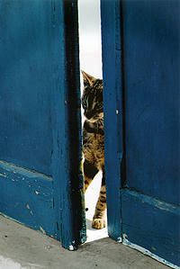 Die kan open.....................