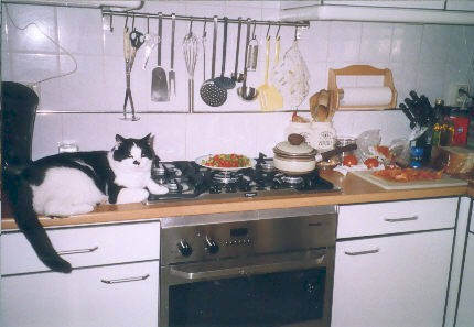 En vandaag maken we muissoep.................